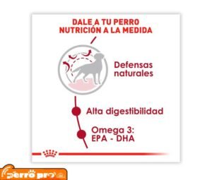beneficios de Royal Canin Adulto Raza Mediana
