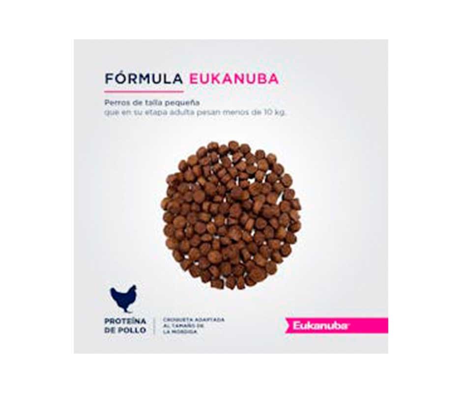 formula de Eukanuba Adulto Raza Pequeña