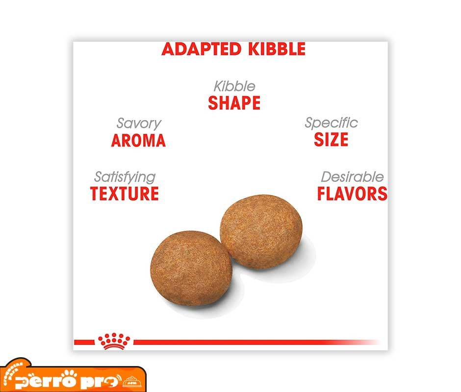 croquetas de Royal Canin Adulto Raza Mediana