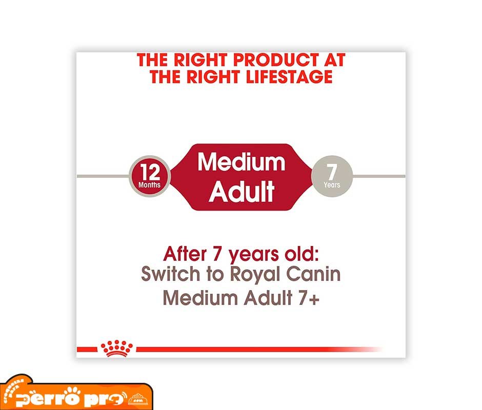 indicaciones de Royal Canin Adulto Raza Mediana