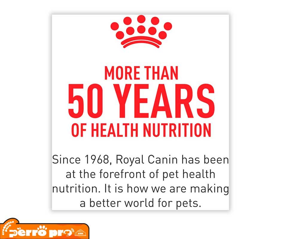 informacion de Royal Canin Adulto Raza Mediana