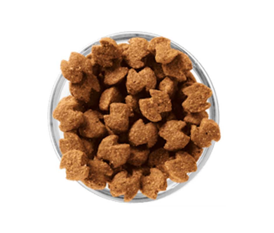 croquetas de Eukanuba Adulto Raza Pequeña