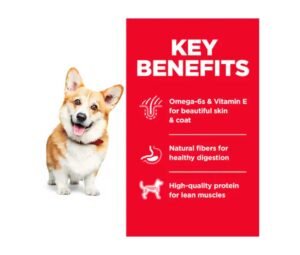 beneficios de Hill's Science Diet Alimento Seco para Perro Adulto 1-6 Small Bites - 1 x 6.8 kg croquetasparaperropro.com