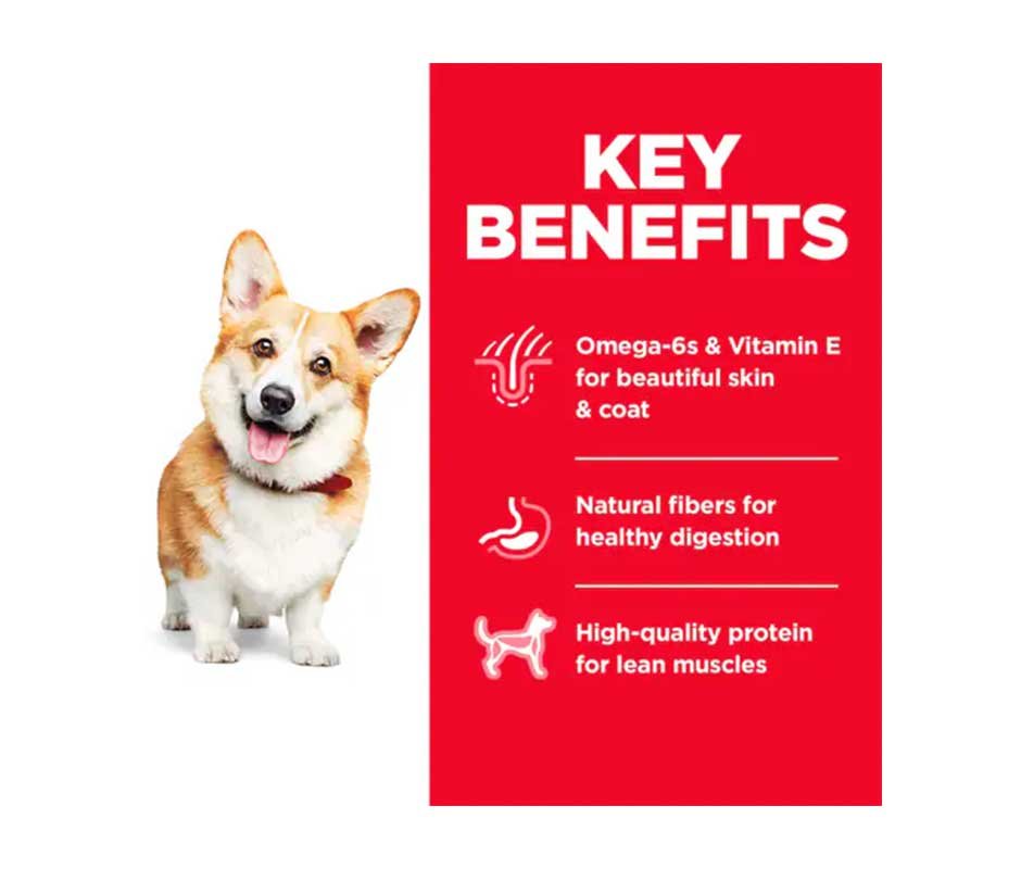 beneficios de Hill's Science Diet Alimento Seco para Perro Adulto 1-6 Small Bites - 1 x 6.8 kg croquetasparaperropro.com