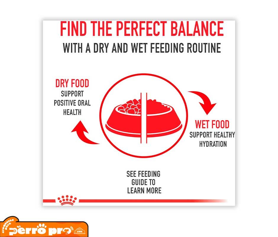 características de Royal Canin Adulto Raza Mediana