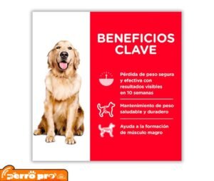 Presentacion de Hill’s Science Diet Perfect Weight Perro Adulto: Las Mejores Croquetas para tu perro