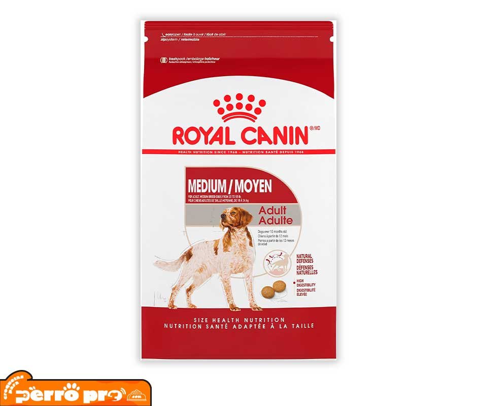 presentacion inicial de Royal Canin Adulto Raza Mediana