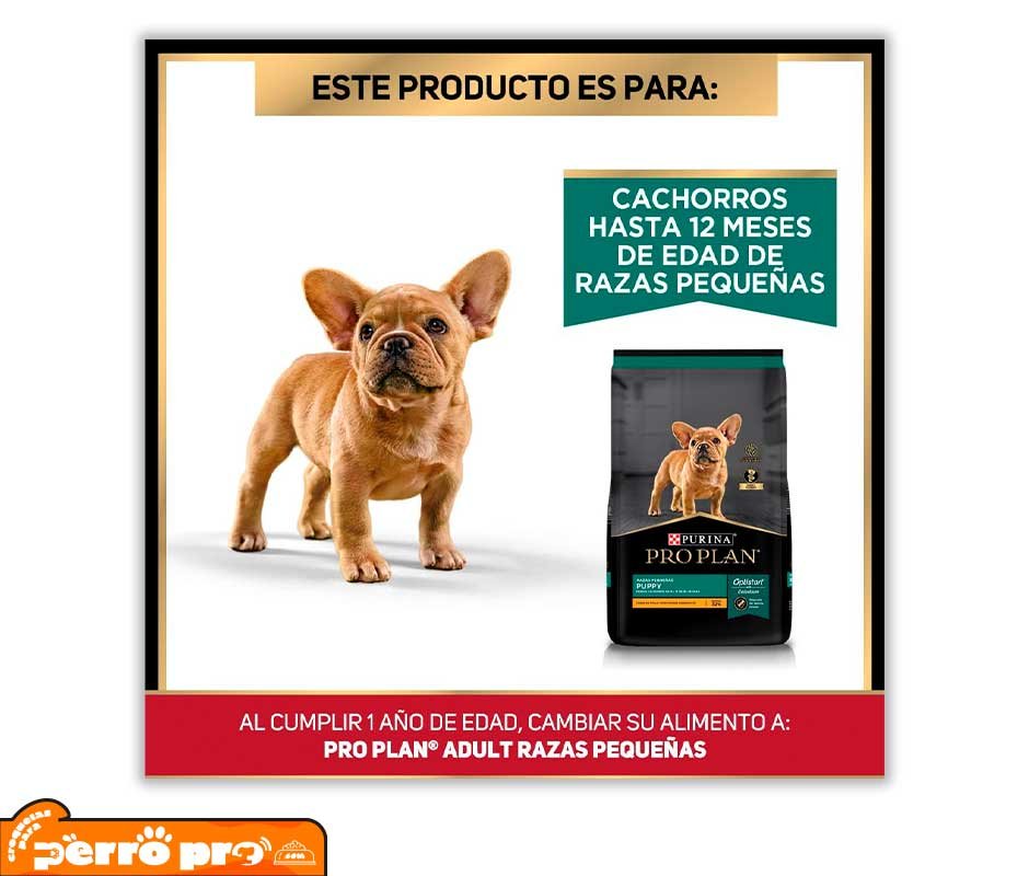 beneficios de Purina Pro Plan Cachorros Raza Pequeña: