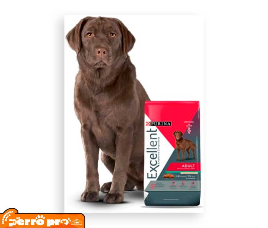 empaque front de Purina Excellent Adult Raza Mediana Y Grande