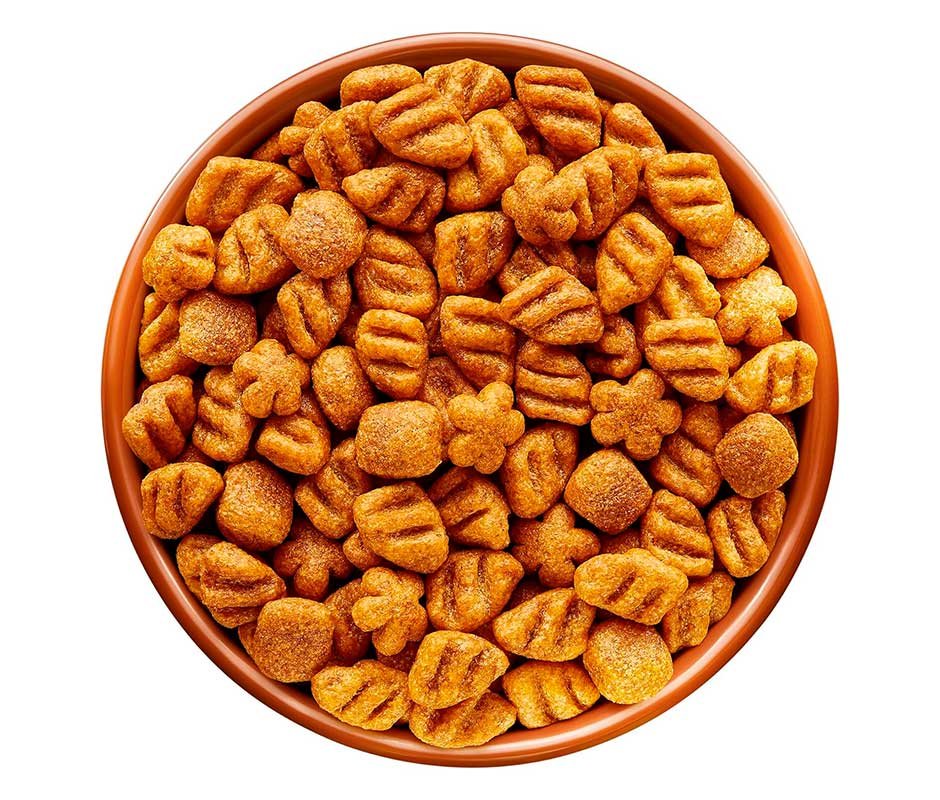 croquetas de Dog Chow Adulto Raza Pequeña