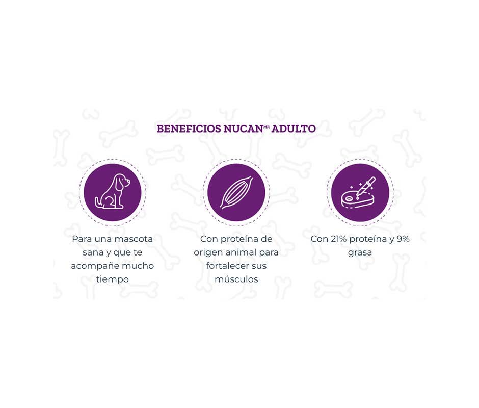 Beneficios de Croquetas Nucan Adulto: La MEJOR CROQUETA calidad-precio