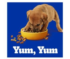 perro comiendo comida para perro Pedigree Cachorro