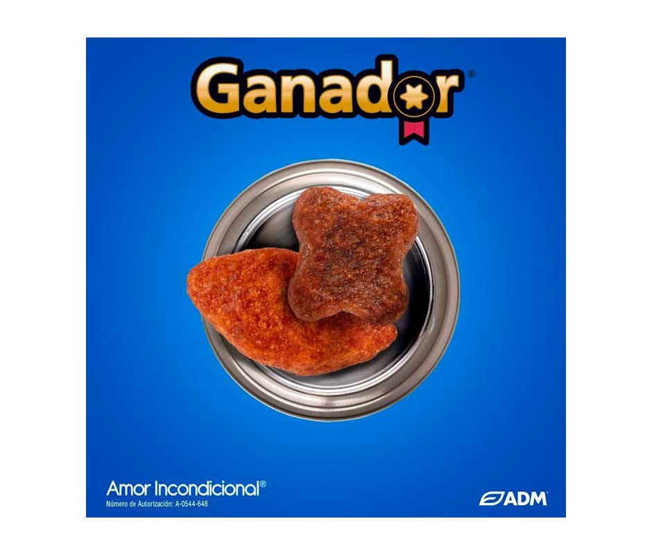 croquetas de Ganador Razas Pequeñas