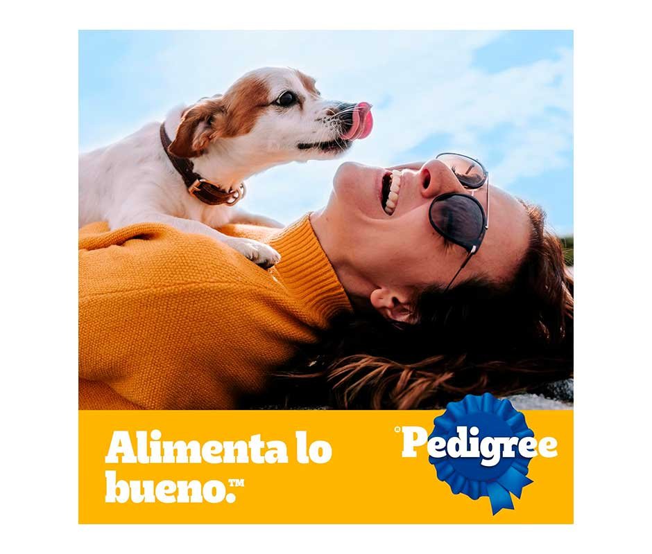 Comida para perro Pedigree Cachorro