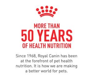 informacion de las croquetas royal canin yorkshire cachorro