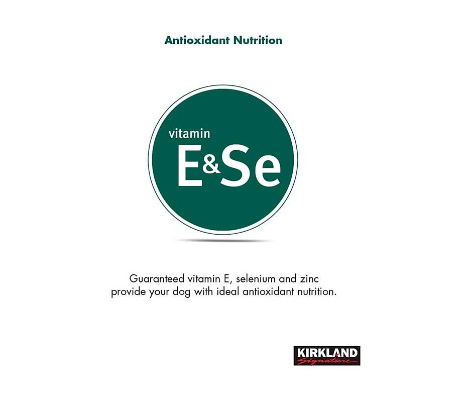 Croquetas Kirkland Cordero caracteristicas