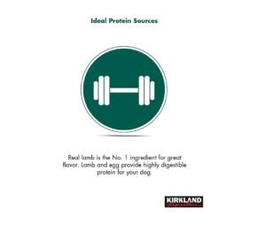 beneficios de Croquetas Kirkland Cordero