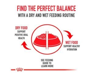 caracteristicas de la Lata Gastrointestinal Royal Canin