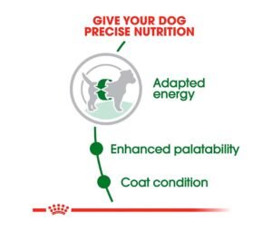 Beneficios de las Royal Canin Mini Adulto