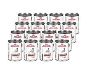 Lata Gastrointestinal Royal Canin