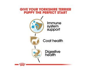 caracteristicas de las croquetas royal canin yorkshire cachorro