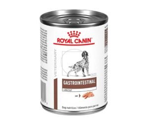 presentacion de la Lata Gastrointestinal Royal Canin