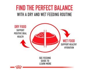 guia de Royal Canin Mini Adulto