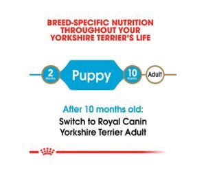 beneficios de las croquetas royal canin yorkshire cachorro