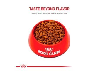 forma de las croquetas royal canin yorkshire cachorro