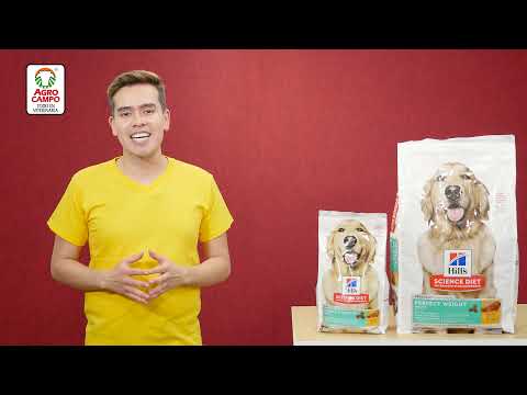 Hill&#039;s Science Diet perros adultos Perfect Weight | Agrocampo
