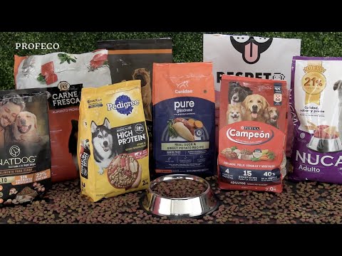 Croquetas para perros | Estudio de Calidad | Profeco