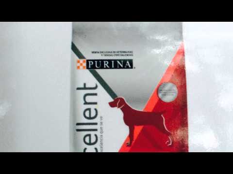 Purina Excellent