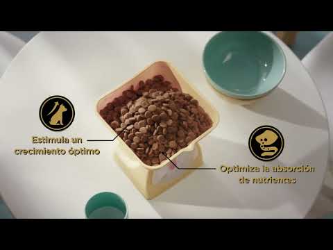 PURINA® PRO PLAN® PUPPY