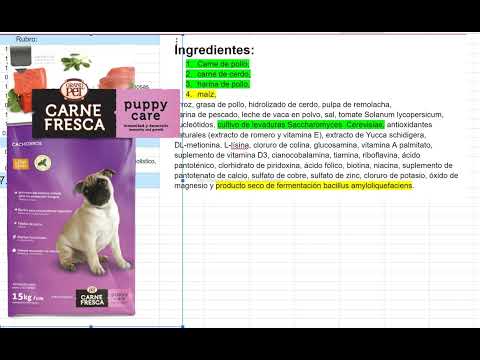 Analisis de Croquetas: Carne Fresca Puppy Care de Grand Pet