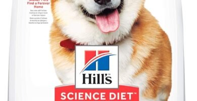 Hill's Science Diet Alimento Seco para Perro Adulto 1-6 Small Bites - 1 x 6.8 kg
