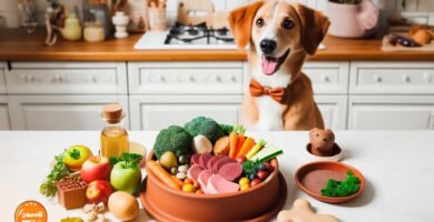 Guía de Dieta BARF Para Perros | Peligros y Más | Perro mirando un plato con ingredientes naturales