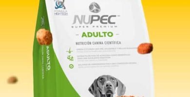 Nupec Adulto Raza Grande: Las Mejores Croquetas para tu perro.