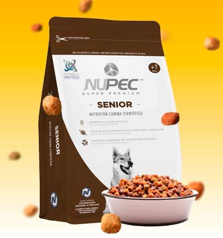 Nupec Senior: Croquetas para perro con la MEJOR relación Calidad-Precio 2 kg, 8 kg y 15 kg