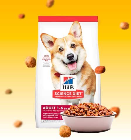 Hill’s Science Diet Adulto Small Bites: Las Mejores Croquetas para tu Perro