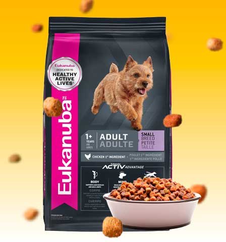 Eukanuba Adulto Raza Pequeña: Croquetas con la MEJOR relación calidad-precio