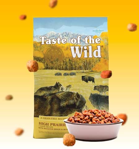 Taste of the Wild High Prairie Canine: Croquetas con la MEJOR relación Calidad-Precio