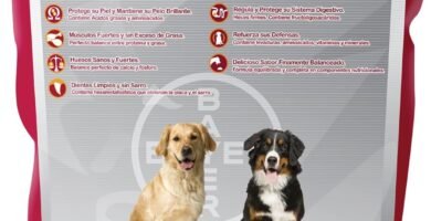 Mira de Bayer Adulto Raza Grande: Croquetas buenas para tu mascota