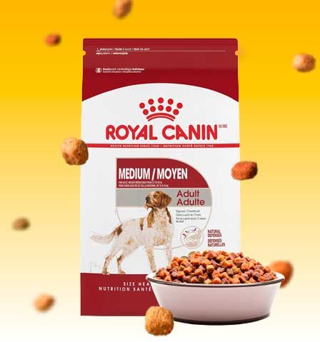 Royal Canin Adulto Raza Mediana