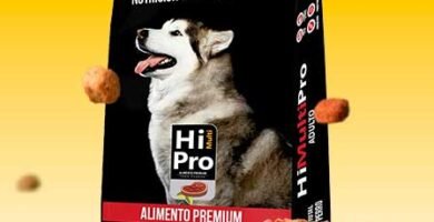 Hi Multi Pro