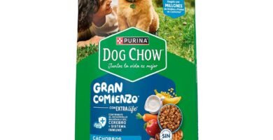 empaque enfrente de Dog Chow Cachorros Medianos y Grandes: Mejores Croquetas de Alta Calidad para Cachorro