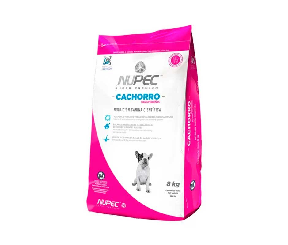 presentacion front 4