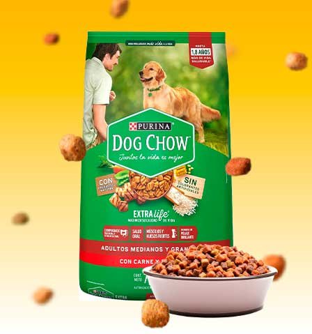 Dog Chow Adulto Razas Grandes y Medianas: Las MEJORES croquetas Calidad-Precio