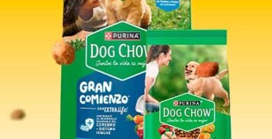 Dog Chow Cachorros Medianos y Grandes: Mejores Croquetas de Alta Calidad para Cachorro