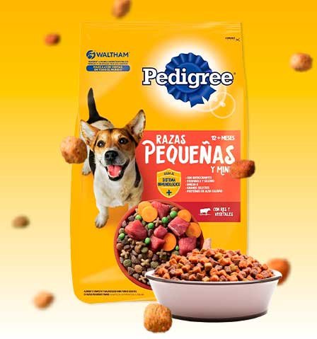 Pedigree Adulto Razas Pequeñas: Las Mejores Croquetas para tu Perro