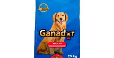 empaque de Ganador 25 kg Adulto